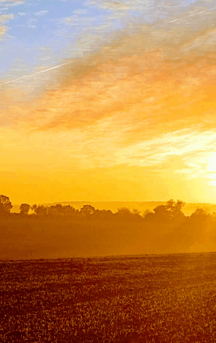 Photo of a sunset over a field