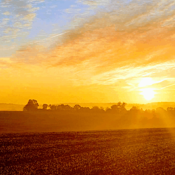 Photo of a sunset over a field