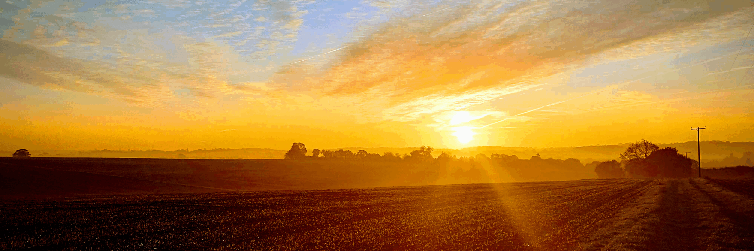 Photo of a sunset over a field